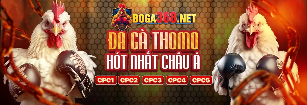 Đấu trường đá gà trực tuyến Full88 đầy kịch tính